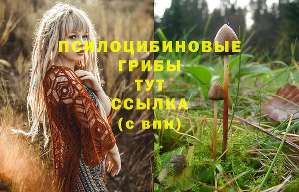 хмурый Гусь-Хрустальный