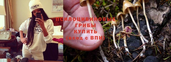 МДПВ Абдулино
