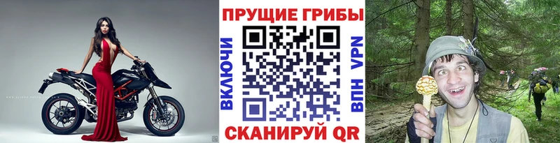 Псилоцибиновые грибы ЛСД  Шимановск 